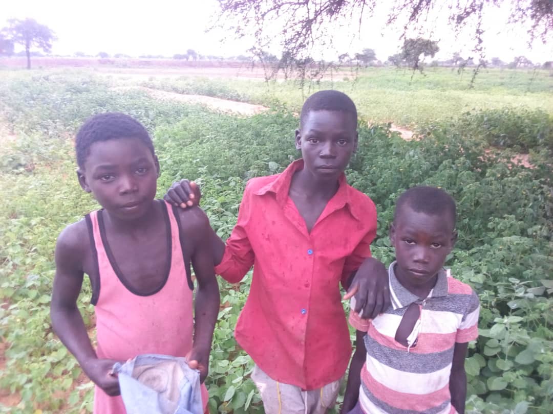 You are currently viewing Success Story: Labdo, East Darfur